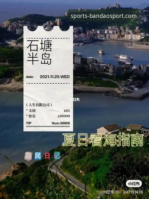 最新半岛体育赛事观看与参与完整指南：从注册到找回密码的实用教程