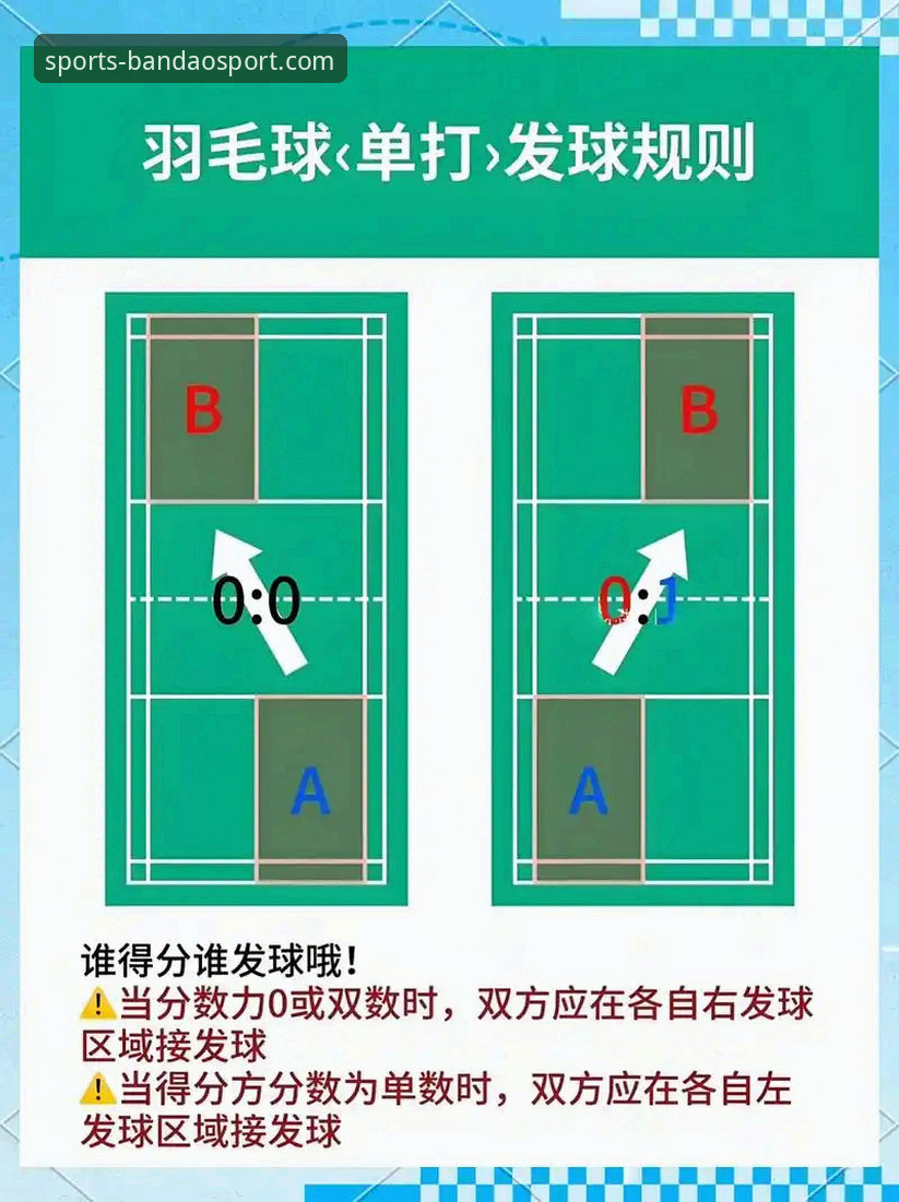 半岛体育平台安全性详解：新手用户必读指南