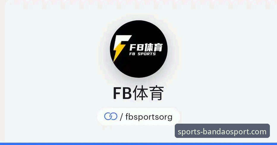 新手必看：半岛体育综合平台5年使用心得，从注册到畅玩全解析